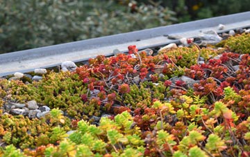 the cost of Nether Moor green roof installation