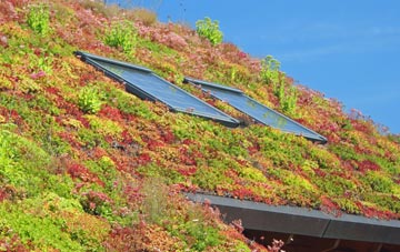 Nether Moor living roof systems