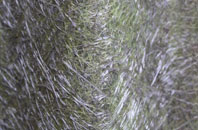 Nether Moor fibreglass roof work